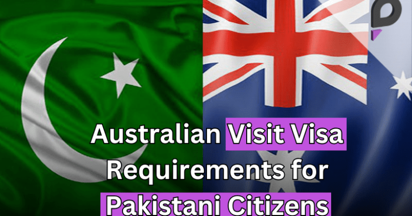 Pulse News Network Pulse News Network