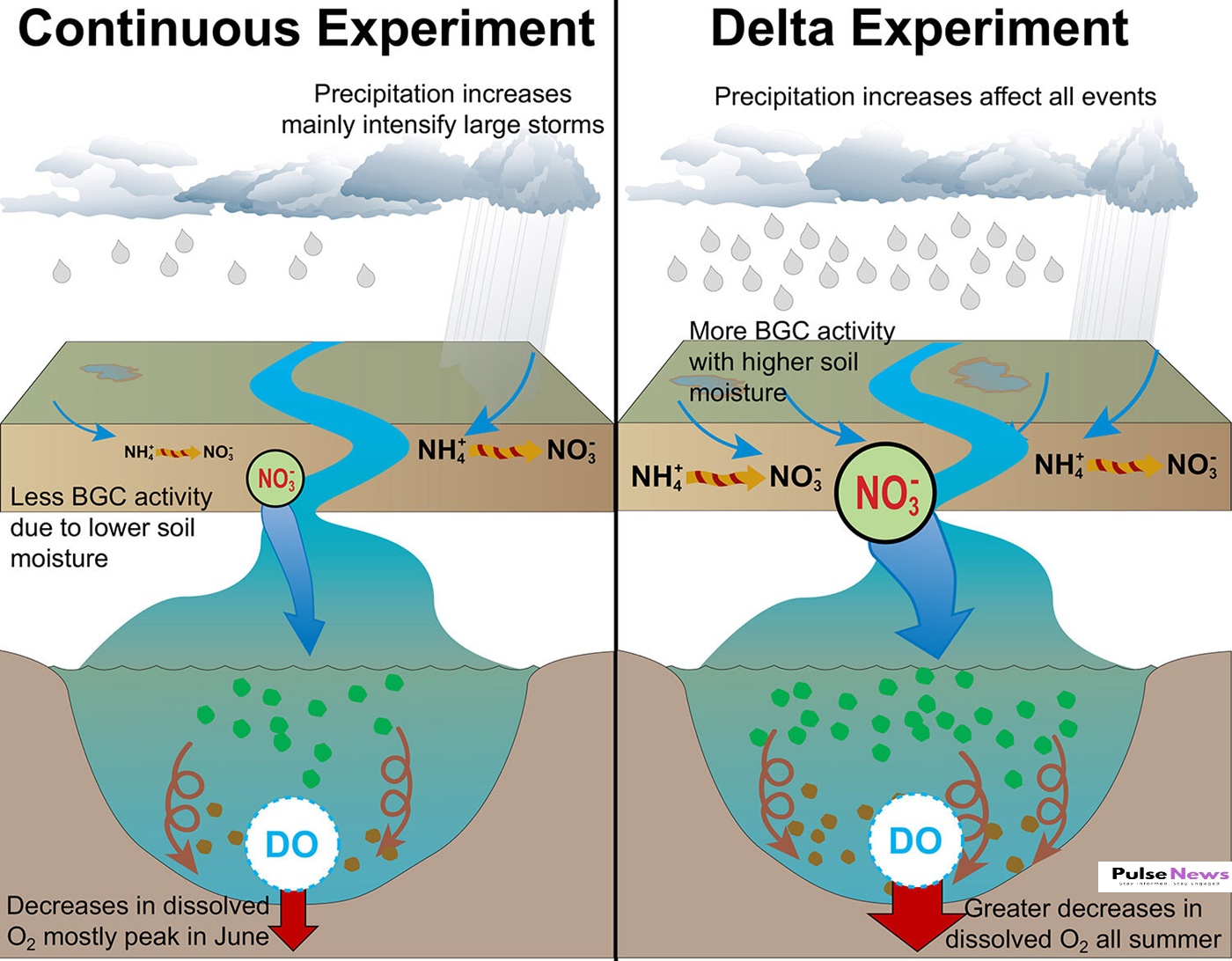 Current Models May Overestimate Future Impacts of Climate Change PulseNews (3)