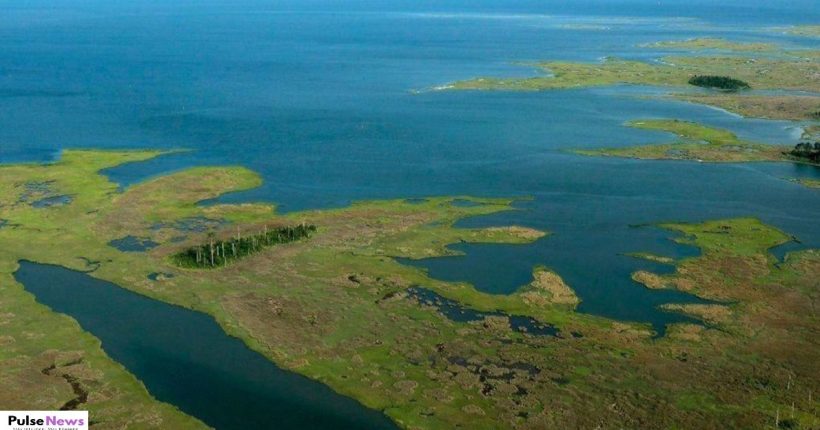 Current Models May Overestimate Future Impacts of Climate Change PulseNews (4) Current Models May Overestimate Future Impacts of Climate Change PulseNews (4)