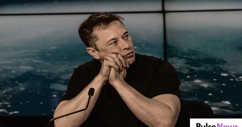 Elon Musk Sparks Fear Among Federal Workers by Naming Government Employees for Cuts Pulse News Elon Musk Sparks Fear Among Federal Workers by Naming Government Employees for Cuts Pulse News