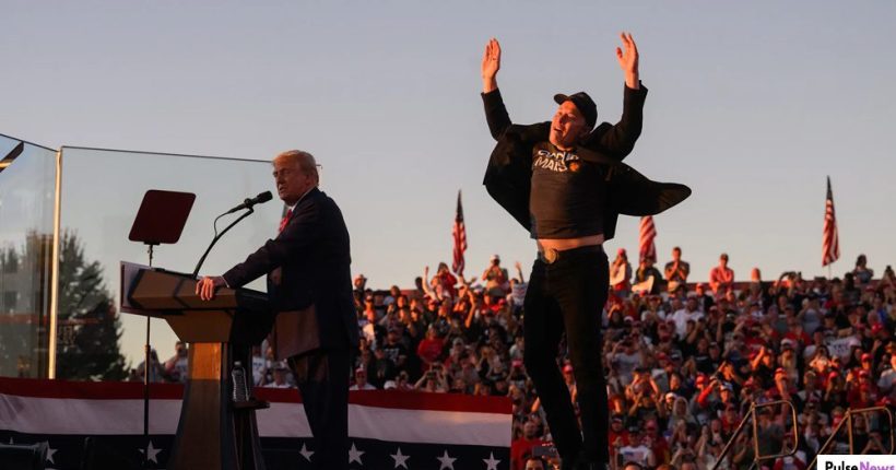 Elon Musk’s Trump Bet Has Paid Off Tesla Soars Leaving Competitors Behind PulseNews Elon Musk’s Trump Bet Has Paid Off Tesla Soars Leaving Competitors Behind PulseNews