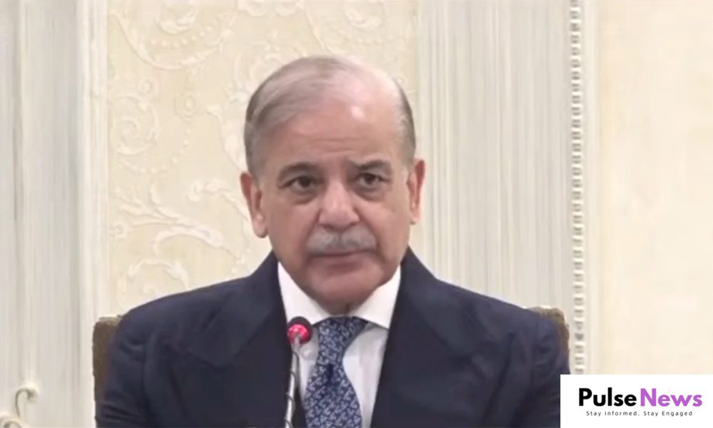 PM Shehbaz Sharif Warns Against Destabilizing Forces Threatening Pakistan's Progress Pulse News