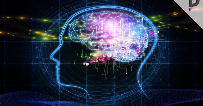 Simple Daily Activities Can Keep Your Brain Young, Study Finds Pulse news network Simple Daily Activities Can Keep Your Brain Young, Study Finds Pulse news network