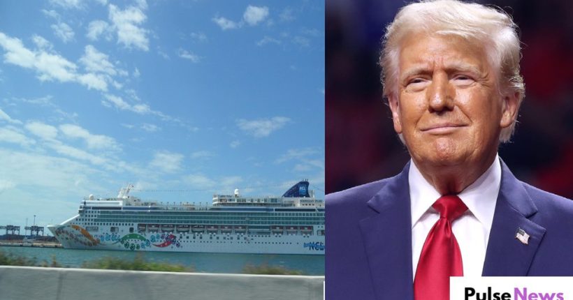US Cruise Line Offers Four-Year Getaway for Those Looking to Escape Trump’s Presidency Pulse News US Cruise Line Offers Four-Year Getaway for Those Looking to Escape Trump’s Presidency Pulse News