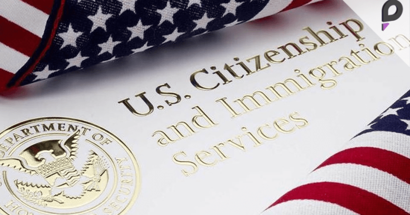 Pulse News Network Pulse News Network