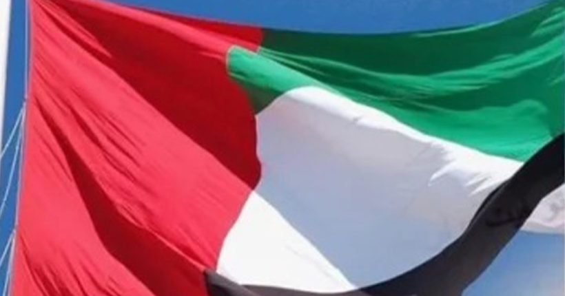 uaeamnesty2 UAE amnesty Program