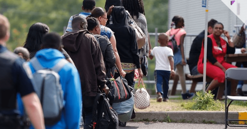 Pulse News Network Pulse News Network