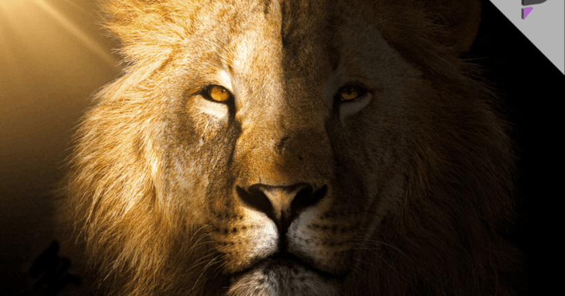 Mufasa The Lion King Movie Mufasa: The Lion King Movie