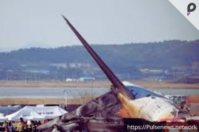 Jeju Air crash