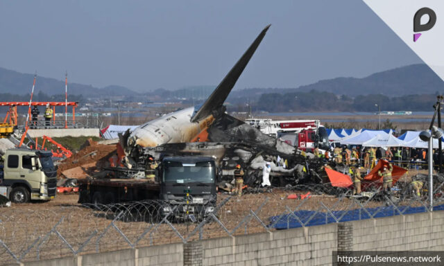 South Korea Plane Crash_ Airline Chief Apologizes Publicly, Video Goes Viral Pulse news network