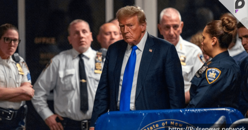 Pulse News Network Pulse News Network