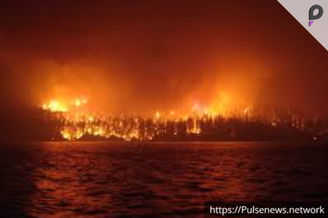 Altadena wildfire evacuee