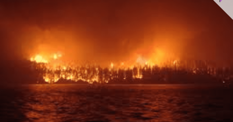 Altadena wildfire evacuee Altadena wildfire evacuee