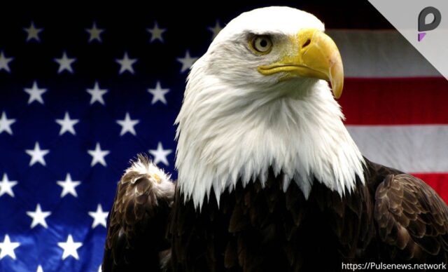 Bald Eagle Declared America's National Bird Social Media Reactions