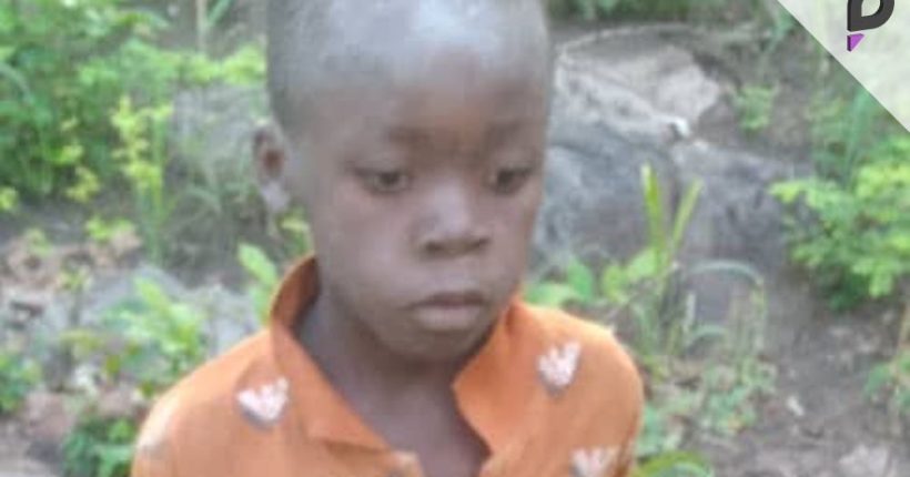 Boy Survives 5 Days in Lion-Infested Zimbabwe National Park Pulse news network Boy Survives 5 Days in Lion-Infested Zimbabwe National Park Pulse news network