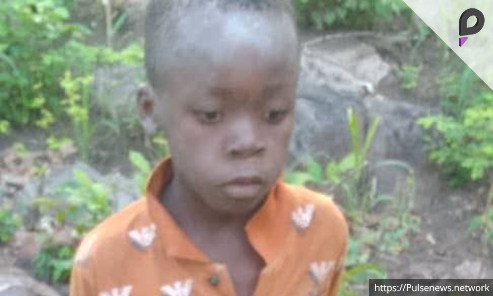 Boy Survives 5 Days in Lion-Infested Zimbabwe National Park Pulse news network