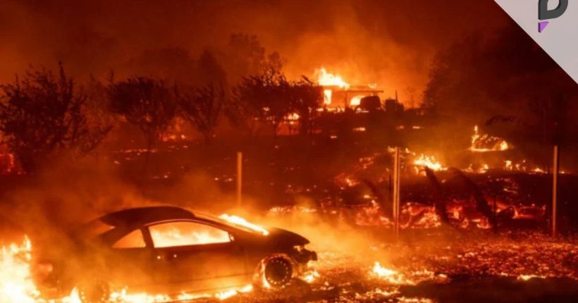 Businesses Offer Support for LA Wildfire Victims Pulse news network Businesses Offer Support for LA Wildfire Victims Pulse news network