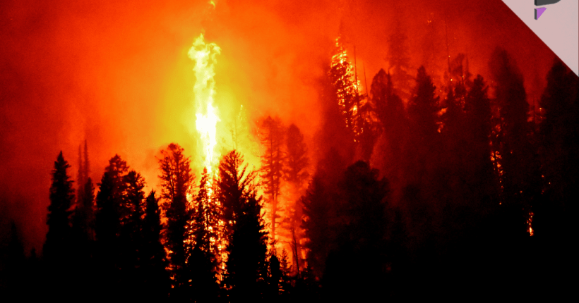 Costliest wildfire in U.S. history Costliest wildfire in U.S. history