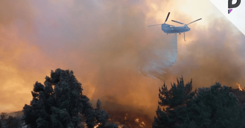 Death Toll Rises to sixteen in LA Wildfires Pulse news network Death Toll Rises to sixteen in LA Wildfires Pulse news network