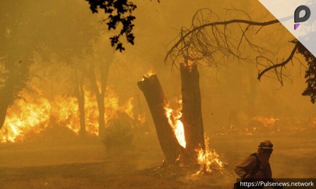 Eight More Individuals Charged with Wildfire-Related Crimes in LA Pulse news network