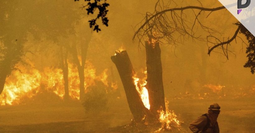Eight More Individuals Charged with Wildfire-Related Crimes in LA Pulse news network