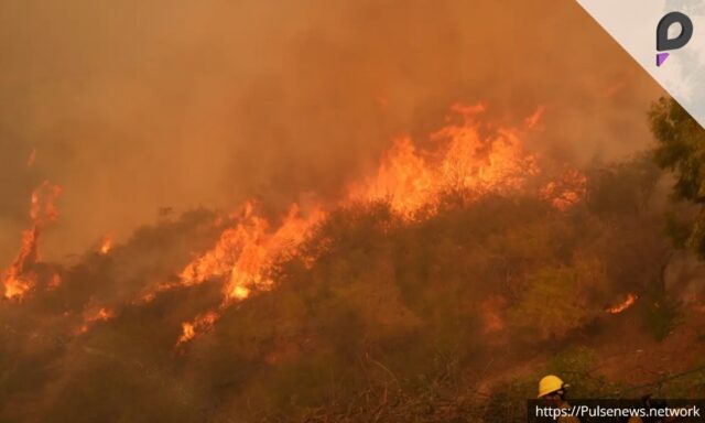 Firefighters Contain New Los Angeles Wildfire as Relief Efforts Expand Pulse news network