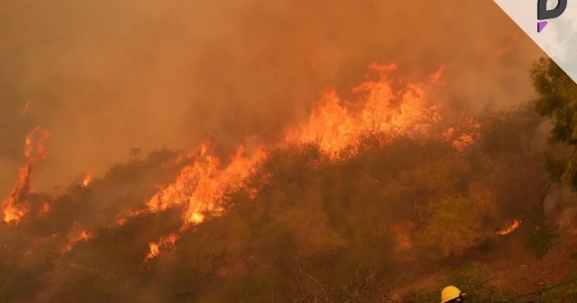 Firefighters Contain New Los Angeles Wildfire as Relief Efforts Expand Pulse news network Firefighters Contain New Los Angeles Wildfire as Relief Efforts Expand Pulse news network