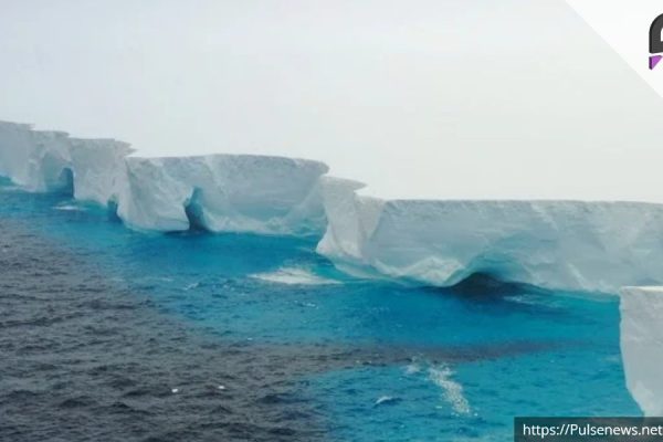 Gigantic Iceberg Drifting Toward South Georgia Raises Alarms Pulse news network Gigantic Iceberg Drifting Toward South Georgia Raises Alarms Pulse news network