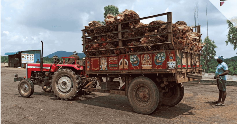 India’s palm oil imports India's palm oil imports