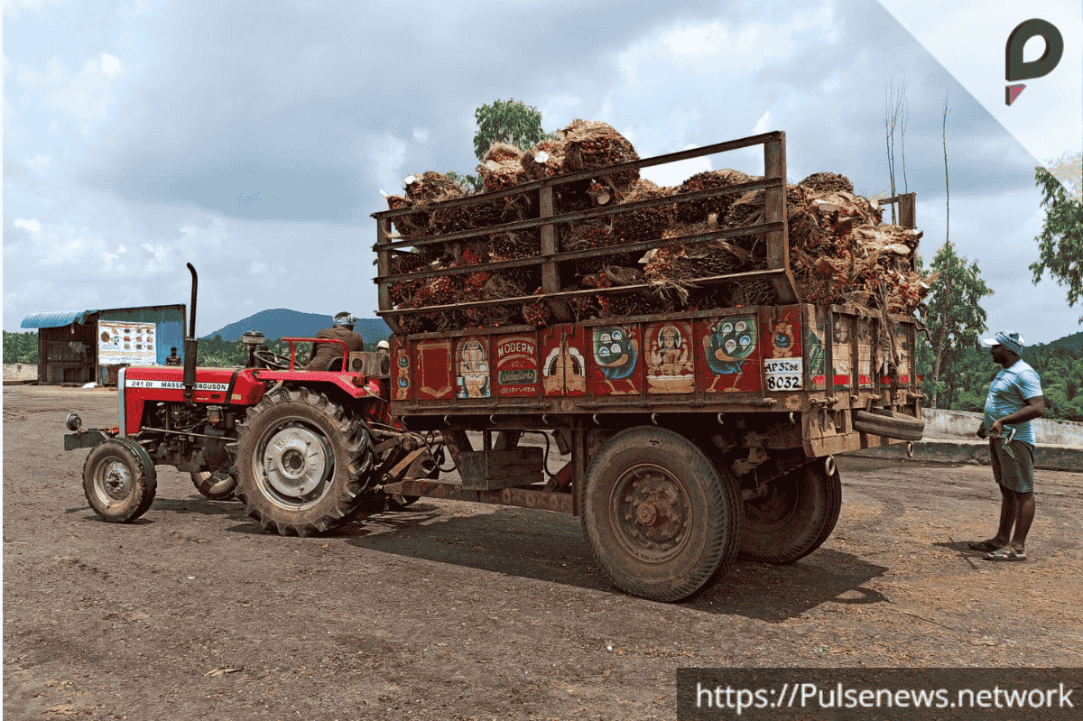 India's palm oil imports