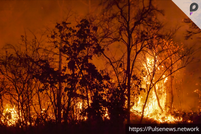 LA Wildfire Damages