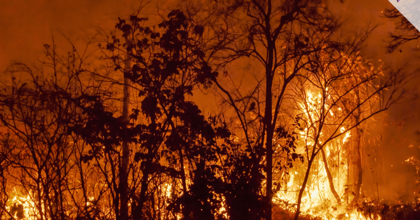 LA Wildfire Damages LA Wildfire Damages
