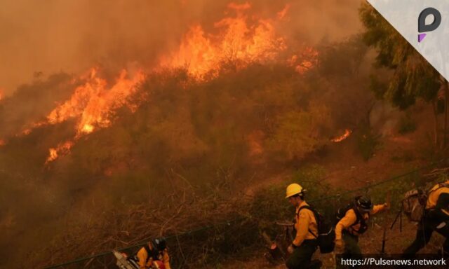 Los Angeles Wildfires_ Death Toll Rises to 24 Pulse news network