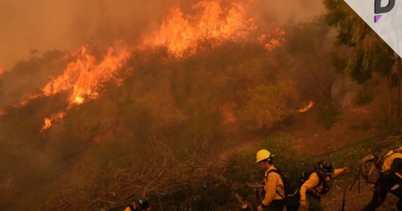 Los Angeles Wildfires_ Death Toll Rises to 24 Pulse news network Los Angeles Wildfires_ Death Toll Rises to 24 Pulse news network