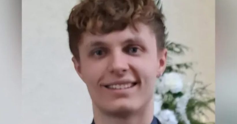 Man Killed After Tree Falls on Car in Donegal Pulse news network