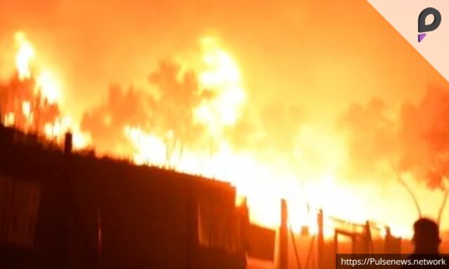 Migrants Ignite Fire During Raid on Camp in Northern Mexico PULSE NEWS NETWORK