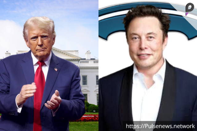 Musk's political influence