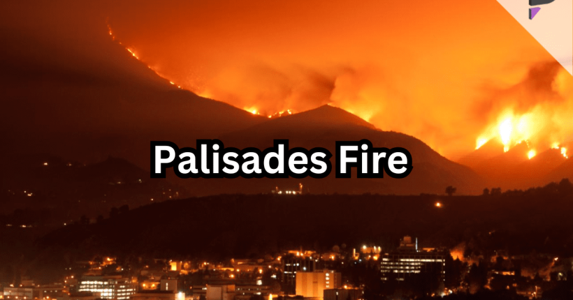 Pacific Palisades Evacuee Pacific Palisades Evacuee