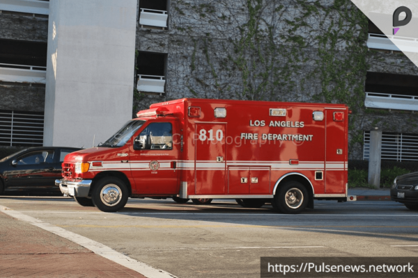 Palisades Fire Crisis Palisades Fire Crisis