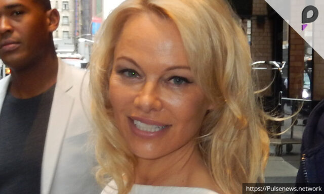 Pamela Anderson Mistaken for Member of The Chicks on Plane Pulse news network