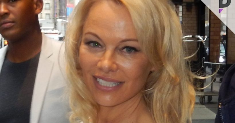 Pamela Anderson Mistaken for Member of The Chicks on Plane Pulse news network Pamela Anderson Mistaken for Member of The Chicks on Plane Pulse news network