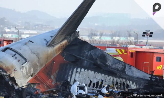 Preliminary Report Released on Jeju Air Crash Investigation Pulse news network