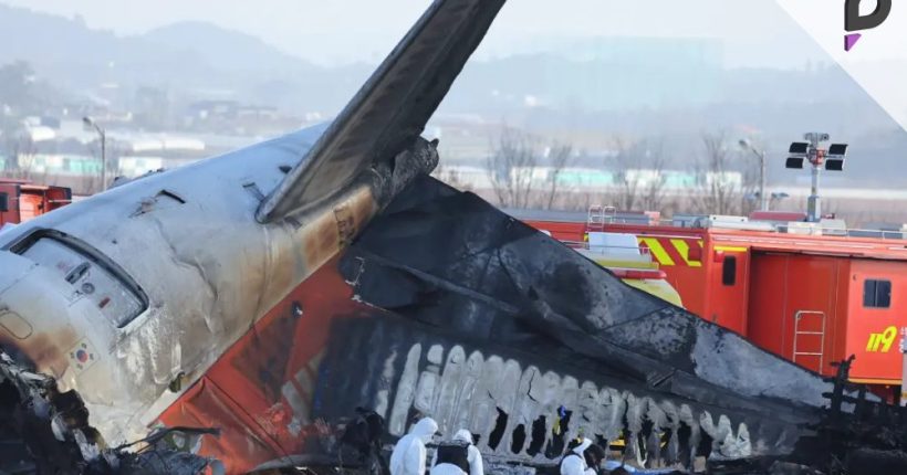 Preliminary Report Released on Jeju Air Crash Investigation Pulse news network Preliminary Report Released on Jeju Air Crash Investigation Pulse news network