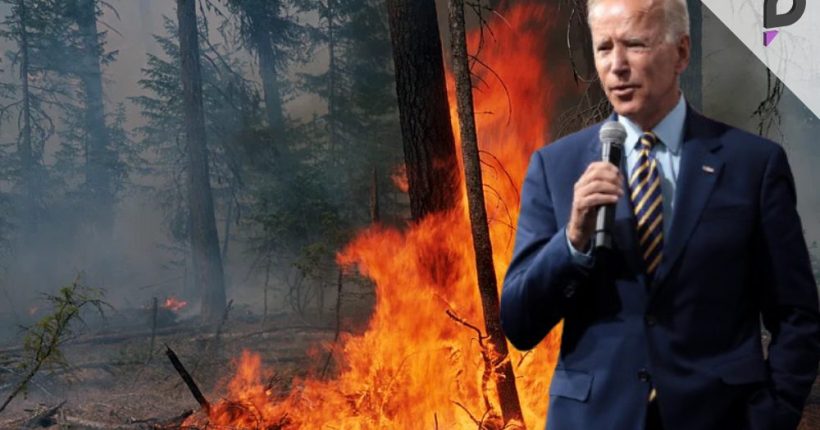 President Biden Expresses Grief Over Wildfire Losses in LA Pulse news network President Biden Expresses Grief Over Wildfire Losses in LA Pulse news network