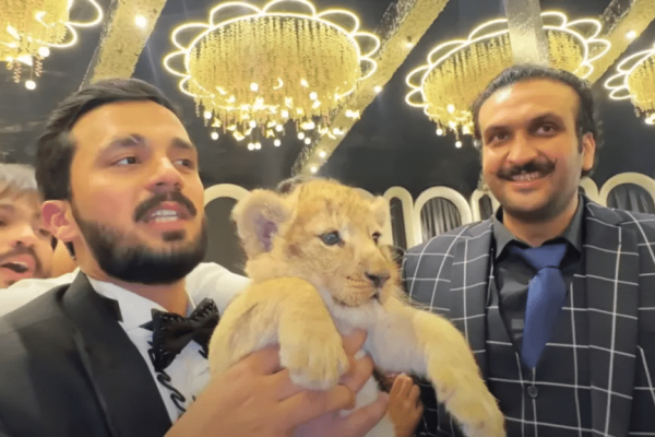 Rajab Butt Rajab Butt