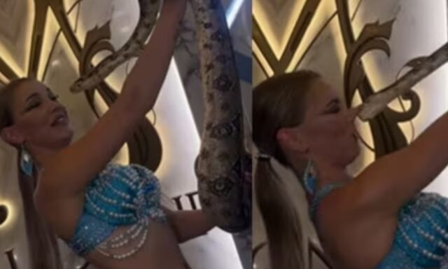 Snake Bites Russian Dancer on Nose During Photo Op Pulse news network