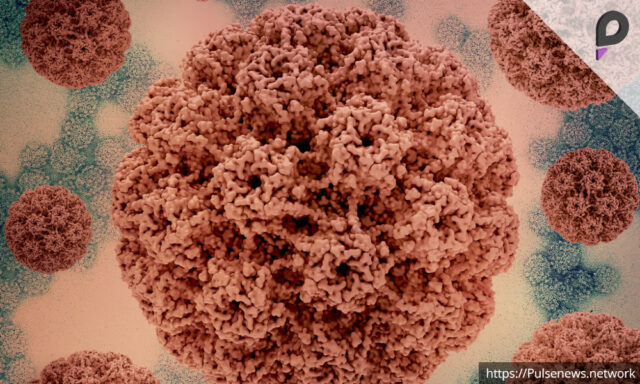 Three Cases of HMP Virus Reported in India Pulse news network