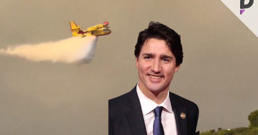 Trudeau Shares Heartwarming Fire Relief Video Pulse news network Trudeau Shares Heartwarming Fire Relief Video Pulse news network