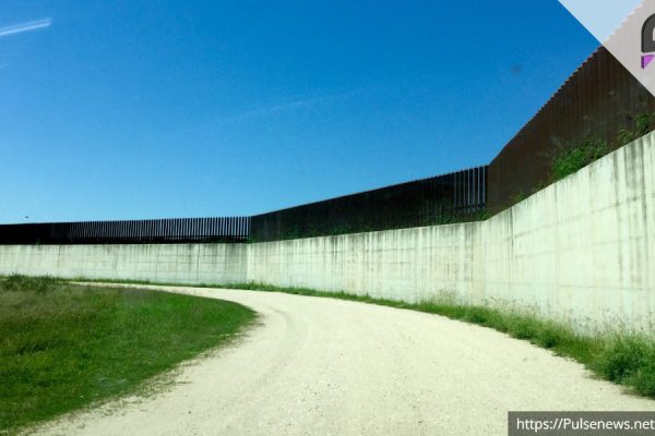 U.S. Announces Deployment of Additional Forces at Mexico Border Pulse news network