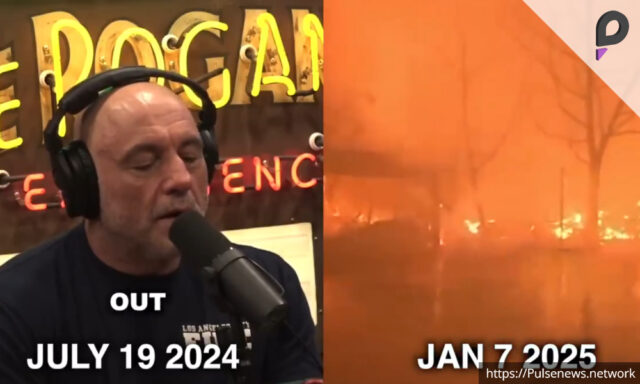 Viral Video_ Joe Rogan Warned of LA Wildfires Months Ago Pulse news network